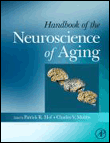 Handbook of the Neuroscience of Aging