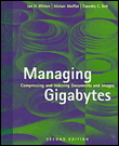 Managing gigabytes