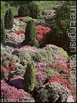 The English garden