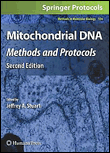 Mitochondrial dna