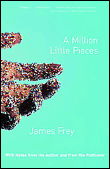 A million little pieces