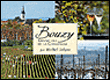 Bouzy, grand cru de la champagne