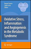Oxidative stress, inflammation and angiogenesis in the metab