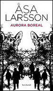 Aurora boreal