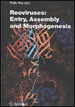 Reoviruses: entry, assembly and morphogenesis