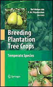 Breeding plantation tree crops: temperate species