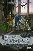 Le Crépuscule des Magiciens - tome 6 Elfe au dragon