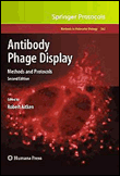 Antibody phage display