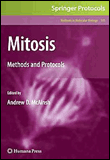 Mitosis