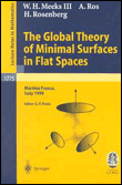 The global theory of minimal surfaces in flat spaces