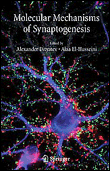 Molecular mechanisms of synaptogenesis