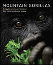 Mountain gorillas