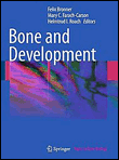 Bone and development