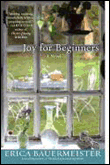 Joy for beginners