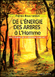 De l'énergie des arbres à l'homme