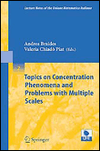 Topics on concentration phenomena and problems with multiple