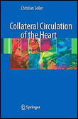 Collateral circulation of the heart