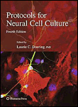 Protocols for neural cell culture