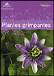 Guide des plantes grimpantes