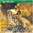 Concertos pour violon