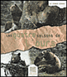Les quatre saisons de l'ours