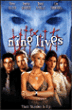 Petit massacre entre amis - DVD Zone 1