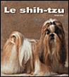 Le shi-tzu