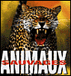 Animaux sauvages