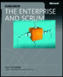 The enterprise and scrum
