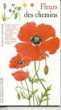 Fleurs des chemins