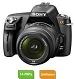 Appareil Photo Sony Alpha DSLR-A290 - Noir, 14MP, Capteur CCD, 20 000 Déclenchements - Très Bon état