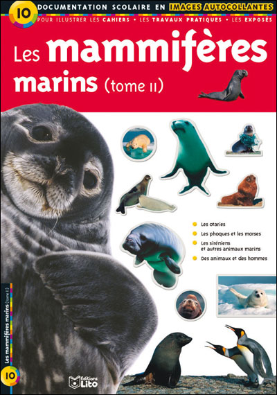 Les mammifères marins