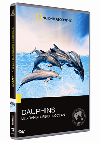 Les Dauphins : Les danceurs de l'Océan