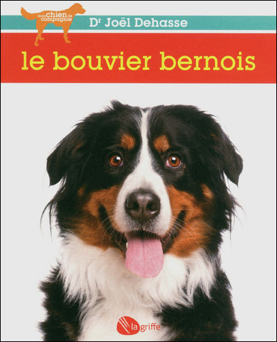 Le bouvier bernois