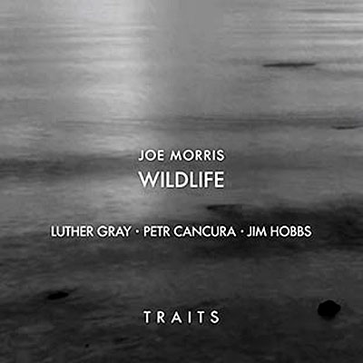 Traits