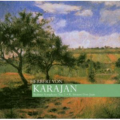 Symphonie n° 1 - Don Juan