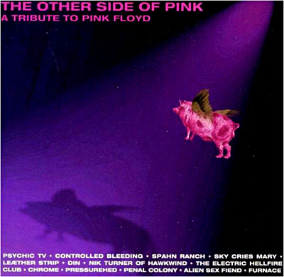Other side of pink