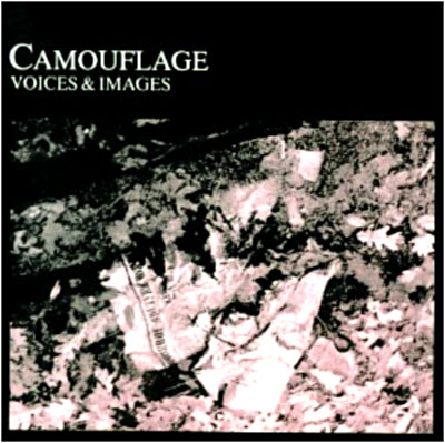 Voices and images