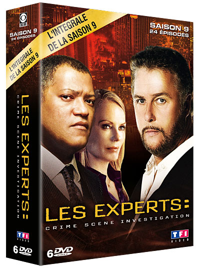 EXPERTS CSI 9-6 DVD-VF