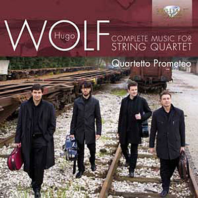 Musique pour quatuor à cordes - Intégrale