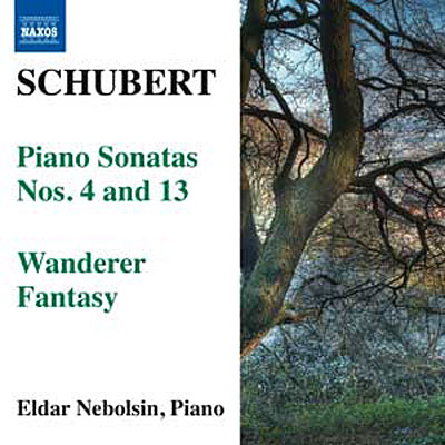Sonates pour piano - Wanderer Fantaisie