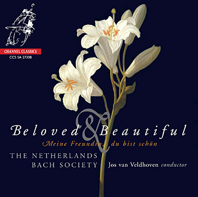 Beloved and beautiful