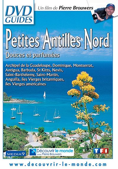 Les petites Antilles du Nord : Douces et parfumées