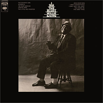 I am the Blues Vinyle 180 gr