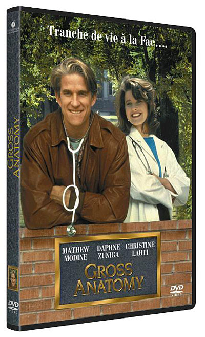 Gross anatomy