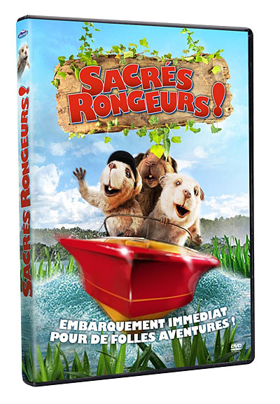 Sacrés rongeurs !