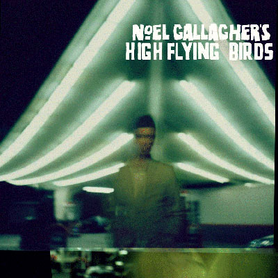 High flying birds