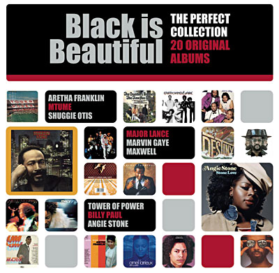 洋楽 MILES LA DISCOTHEQUE IDEALE 20 ALBUMS La discothèque idéale en 20 albums originaux - Black is beautiful