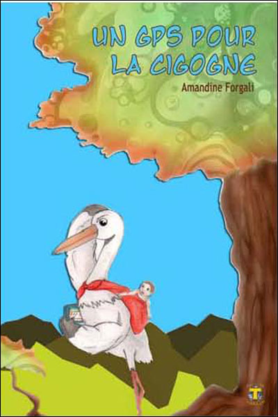 Un Gps Pour La Cigogne Broche Amandine Forgali Achat Livre Fnac