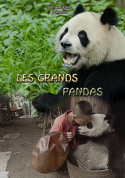 Les pandas géants